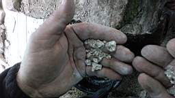 stcronans 2340.jpg